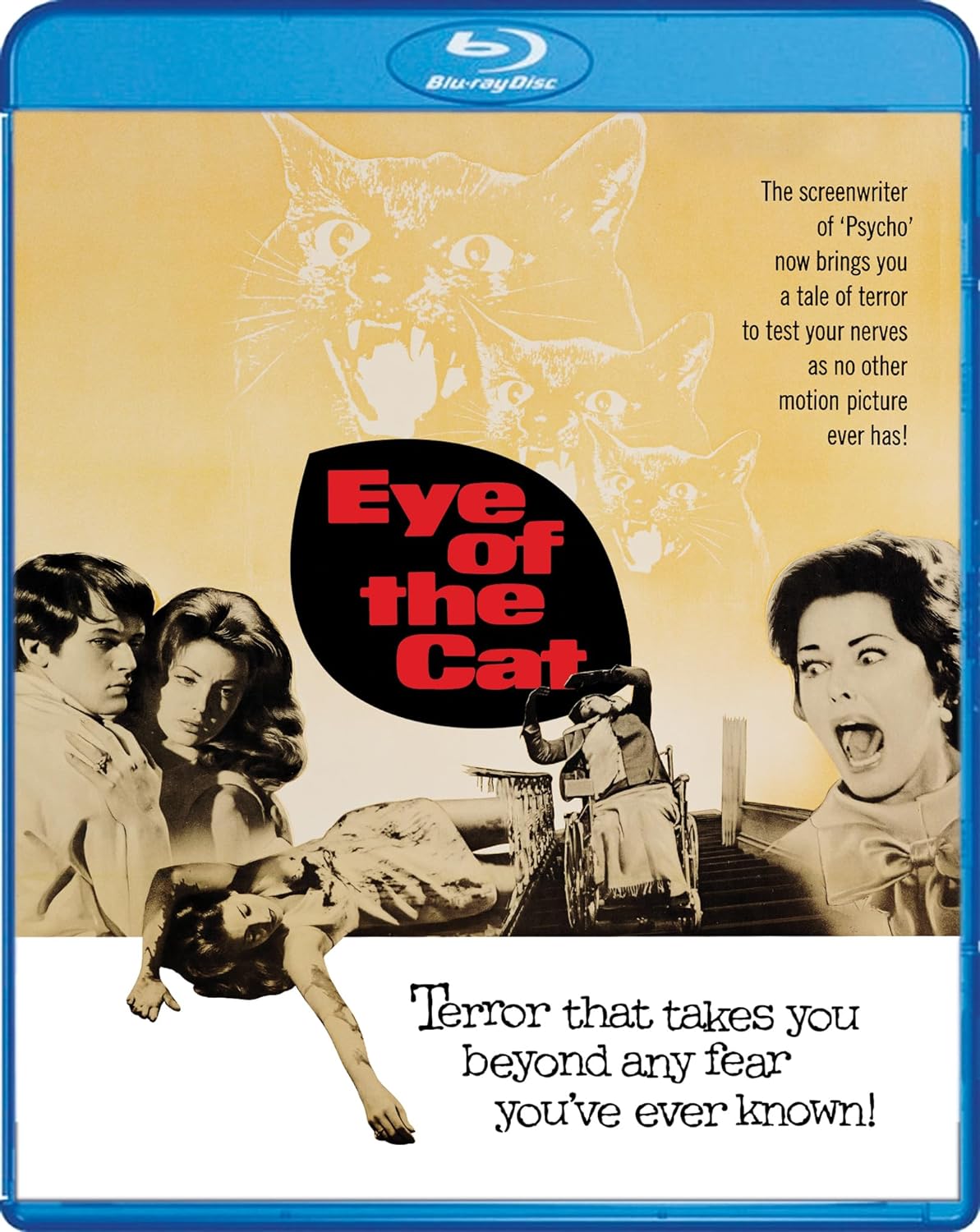 Eye Of the Cat Blu-ray (Scream Factory)